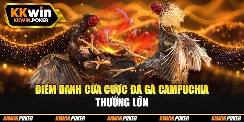 Điểm danh cửa cược đá gà Campuchia thưởng lớn Điểm danh cửa cược đá gà Campuchia thưởng lớn