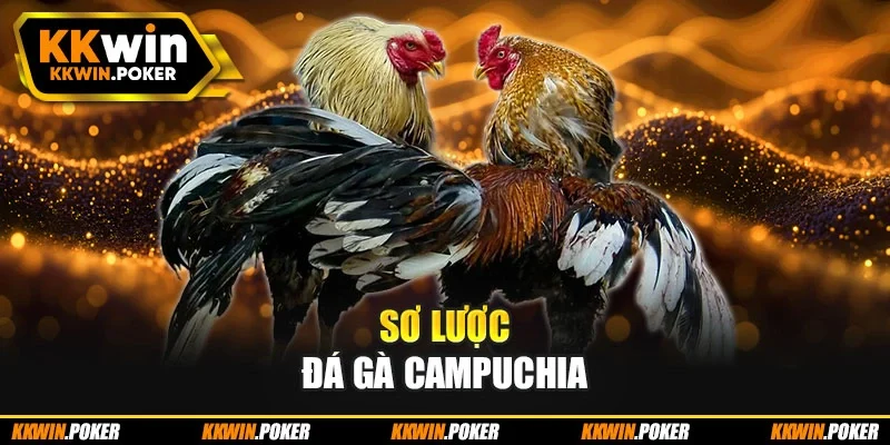 Sơ lược đá gà Campuchia Sơ lược đá gà Campuchia