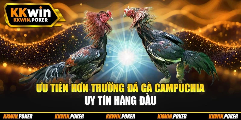 Ưu tiên hơn trường đá gà Campuchia uy tín hàng đầu Ưu tiên hơn trường đá gà Campuchia uy tín hàng đầu
