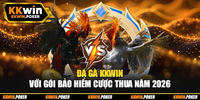 Đá gà KKWIN với gói bảo hiểm cược thua năm 2026 Đá gà KKWIN với gói bảo hiểm cược thua năm 2026