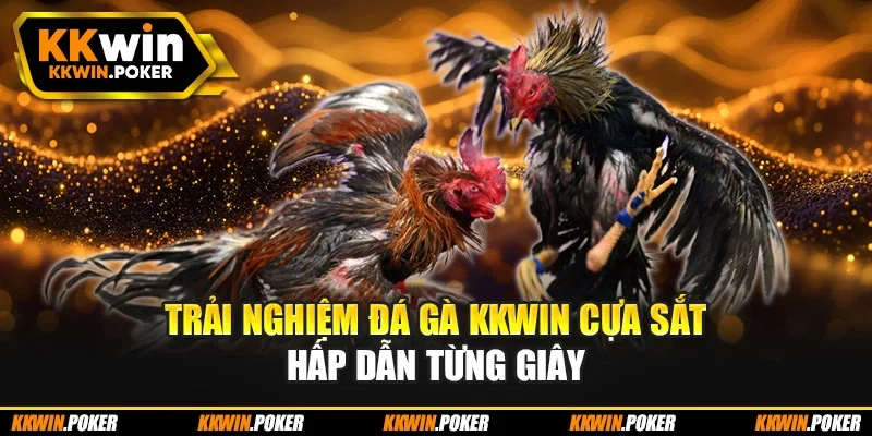 Trải nghiệm đá gà KKWIN cựa sắt hấp dẫn từng giây Trải nghiệm đá gà KKWIN cựa sắt hấp dẫn từng giây